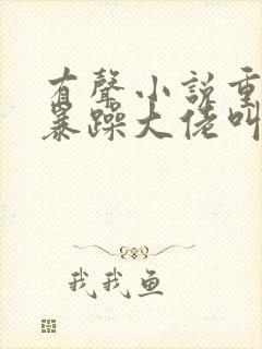 有声小说重生后暴躁大佬叫我小祖宗