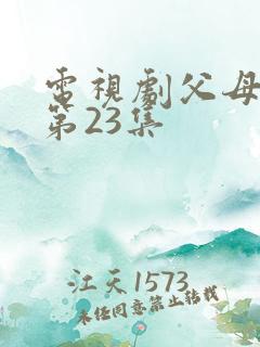 电视剧父母爱情第23集