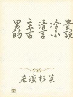 男主清冷贵公子的古言小说