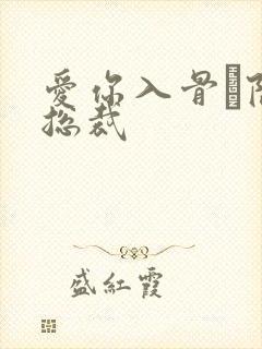 爱你入骨·隐婚总裁