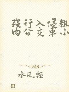 强行入侵粗暴h肉公交车小说