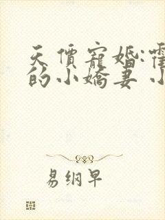 天价宠婚:霍总的小娇妻 小说