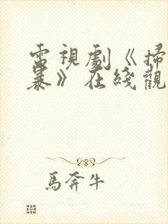 电视剧《扫毒风暴》在线观看高清