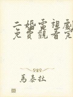 二婚电视剧全集免费观看完整版高清