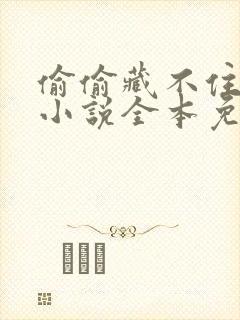 偷偷藏不住竹己小说全本免费阅读