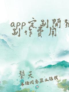 app定制开发制作费用