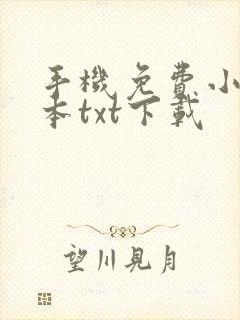 手机免费小说完本txt下载