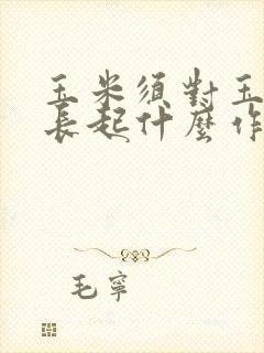 玉米须对玉米生长起什么作用