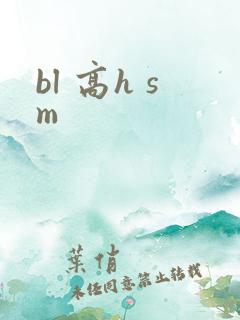 bl 高h sm