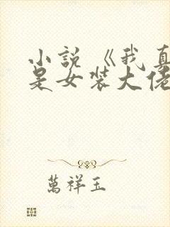 小说 《我真不是女装大佬》