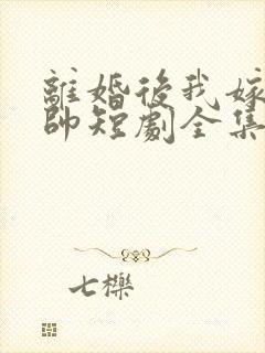 离婚后我嫁高富帅短剧全集