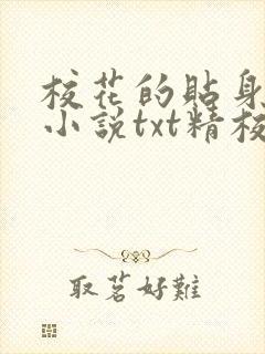 校花的贴身高手小说txt精校版
