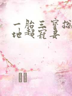 一胎三宝总裁爹地超宠妻