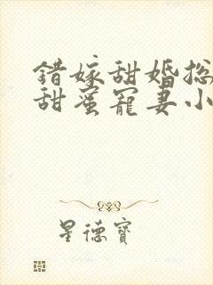 错嫁甜婚总裁的甜蜜宠妻小说