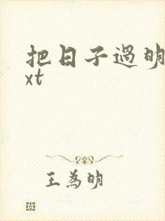 把日子过明白txt