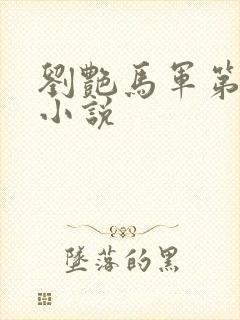 刘艳马军第九部小说