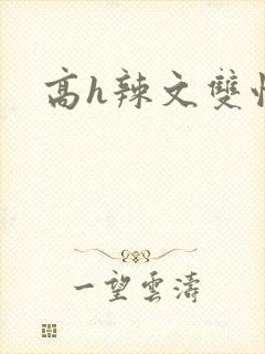 高h辣文双性
