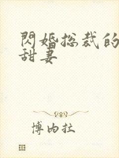 闪婚总裁的契约甜妻