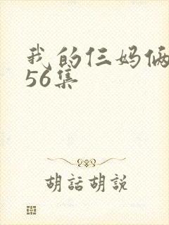 我的仨妈俩爸第56集
