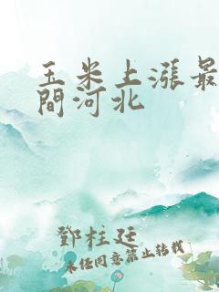 玉米上涨最佳时间河北