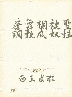 唐舞桐被圣灵教调教成奴性的小说叫