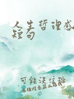人生哲理感悟的短句