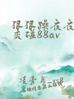 狠狠躁夜夜躁人爽碰88av