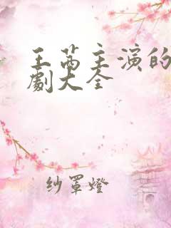 王茜主演的电视剧大全