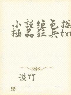 小说绝色总裁的极品狂兵txt