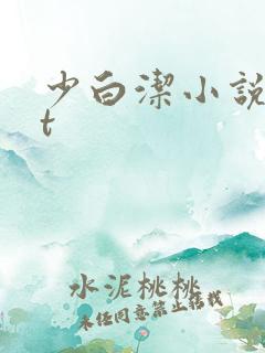 少白洁小说txt