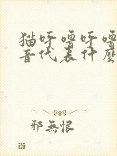 猫呼噜呼噜的声音代表什么意思