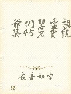 爷们儿电视剧全集45免费观看