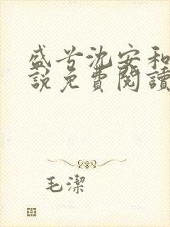盛兮沈安和的小说免费阅读无弹窗