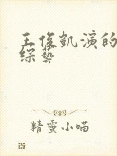 王俊凯演的全部综艺