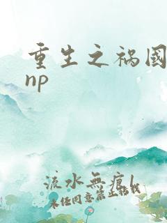 重生之祸国妖妃np