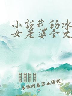 小说我的冰山美女老婆全文阅读