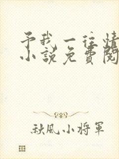 予我一往情深 小说免费阅读完本