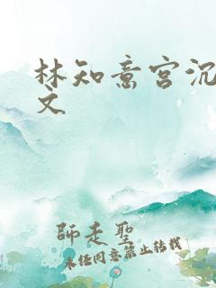 林知意宫沉易小文