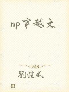 np穿越文
