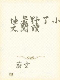 他最野了小说全文阅读