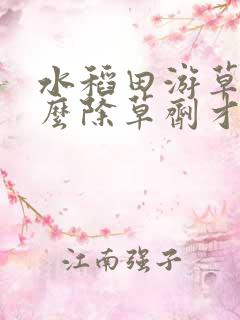 水稻田游草用什么除草剂才能死彻底
