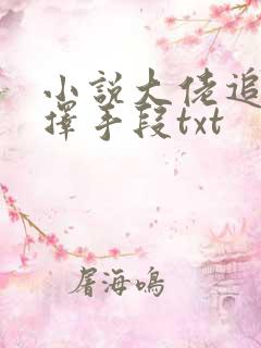 小说大佬追妻不择手段txt 小说大佬追妻不择手段txt