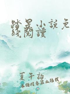 踏星小说免费在线阅读