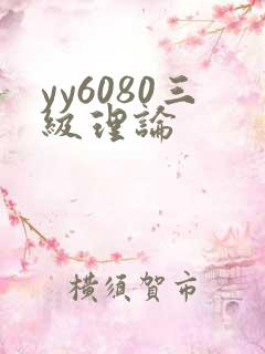 yy6080三级理论