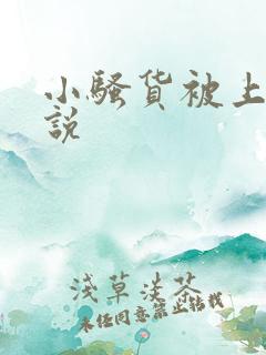 小骚货被上的小说
