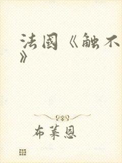 法国《触不可及》