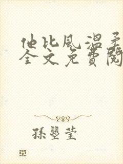 他比风温柔小说全文免费阅读