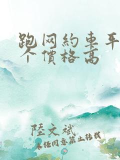 跑网约车平台哪个价格高