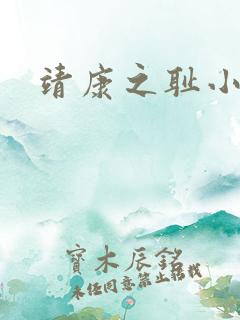 靖康之耻小说