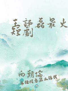 王译磊最火十部短剧
